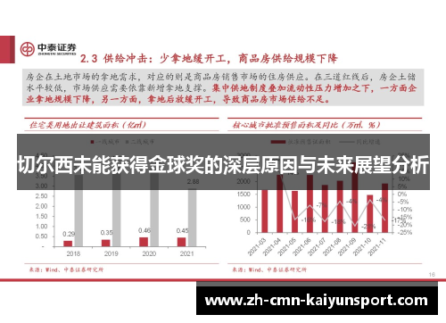 切尔西未能获得金球奖的深层原因与未来展望分析