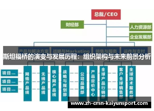 斯坦福桥的演变与发展历程:组织架构与未来前景分析 斯坦福桥的演变与发展历程:组织架构与未来前景分析