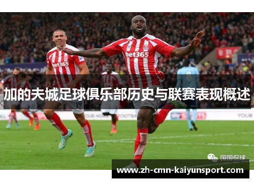 加的夫城足球俱乐部历史与联赛表现概述