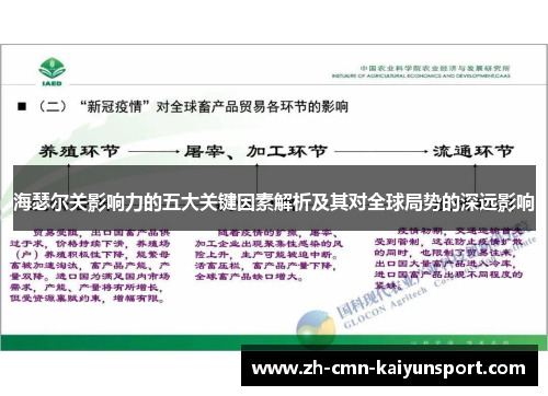 海瑟尔关影响力的五大关键因素解析及其对全球局势的深远影响