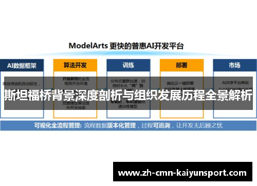 斯坦福桥背景深度剖析与组织发展历程全景解析 斯坦福桥背景深度剖析与组织发展历程全景解析