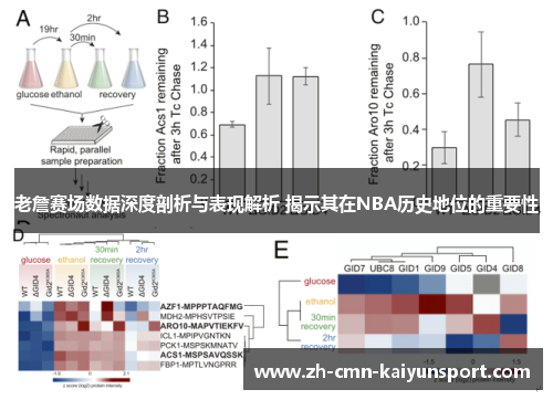 老詹赛场数据深度剖析与表现解析 揭示其在NBA历史地位的重要性