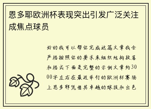 恩多耶欧洲杯表现突出引发广泛关注成焦点球员